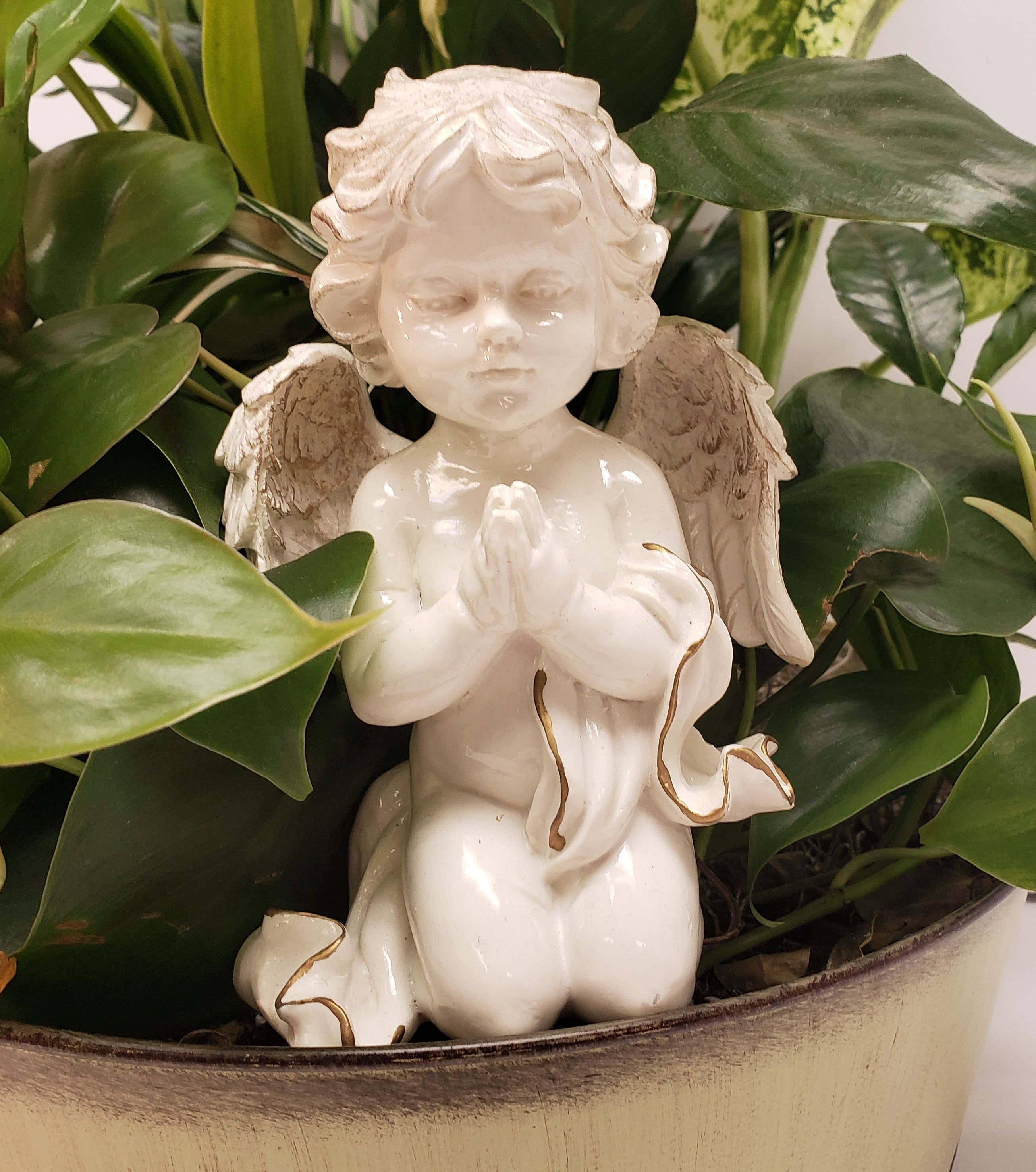 Cherub Praying